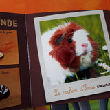 Mon coffret des animaux