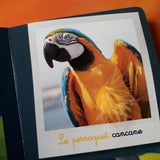 Mon coffret des animaux