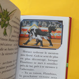 Pokémon. Les Voyages. 04. La Coupe Flûte