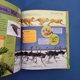 Animali visti da vicino