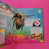 Chiedi a... un insetto!