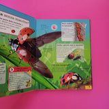 Chiedi a... un insetto!