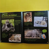 Wakou, la mia piccola enciclopedia. cuccioli