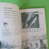 La magica casa sull'albero. Guida all'era glaciale