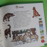 Le tour du monde des animaux