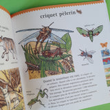 Le tour du monde des animaux