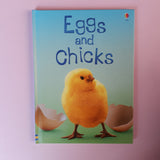 Eggs and Chicks