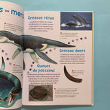 Autour des dinosaures. Un voyage du jurassique au crétacé