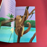 Bat and Sloth. Lost and found