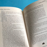 Bisonte Nero, l'indiano delle pianure