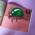 Il libro dell'alfabeto dello scarabeo