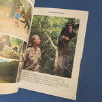 L'incroyable destin de Jane Goodall, une vie à étudier les chimpanzés