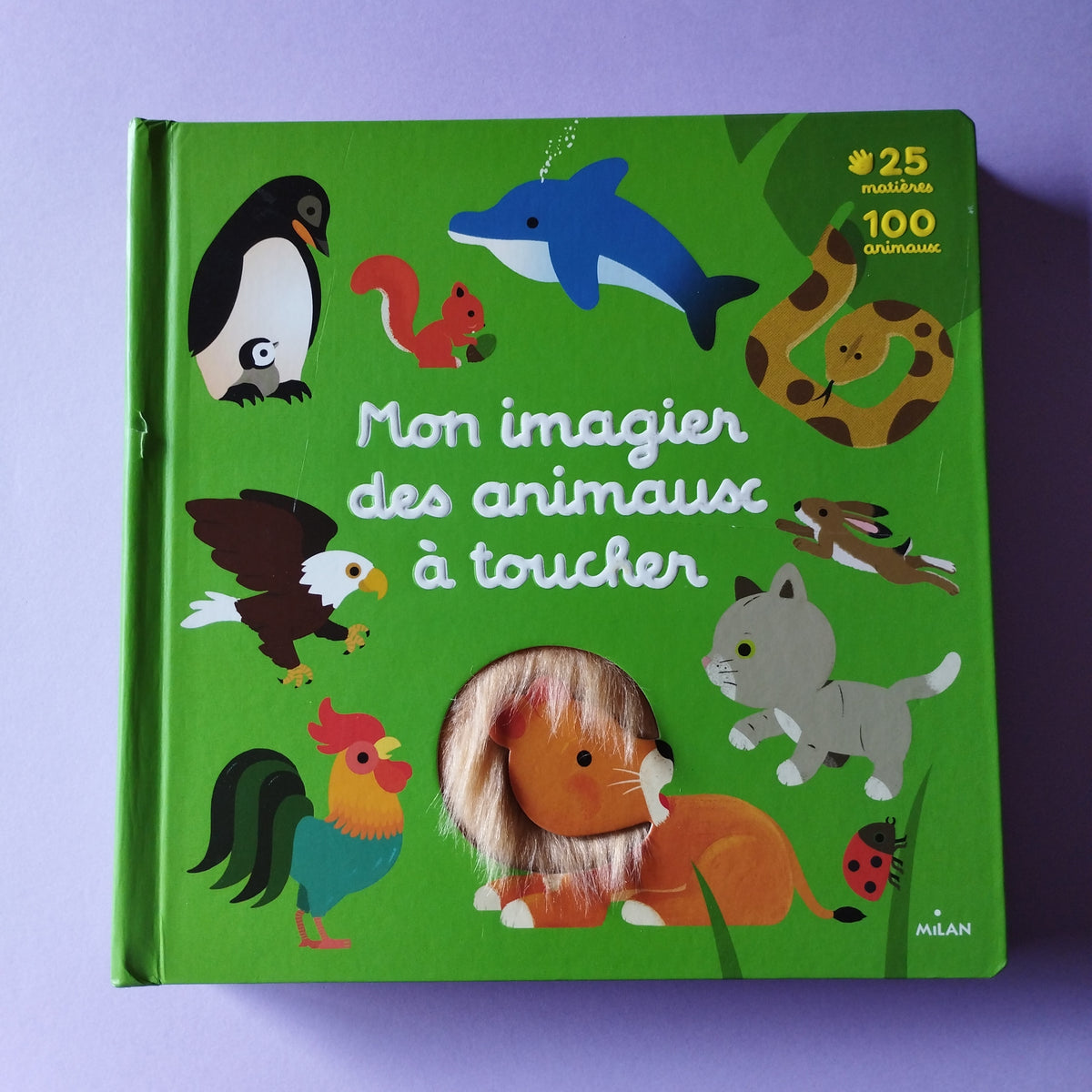 Imagier grand format. Livre pour enfants sur les animaux