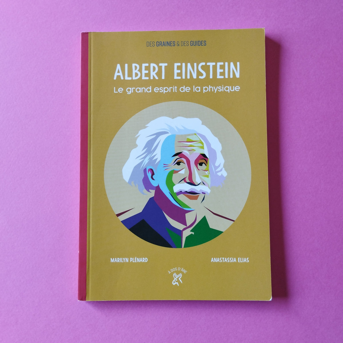 Albert Einstein, le grand esprit de la physique Librairie William