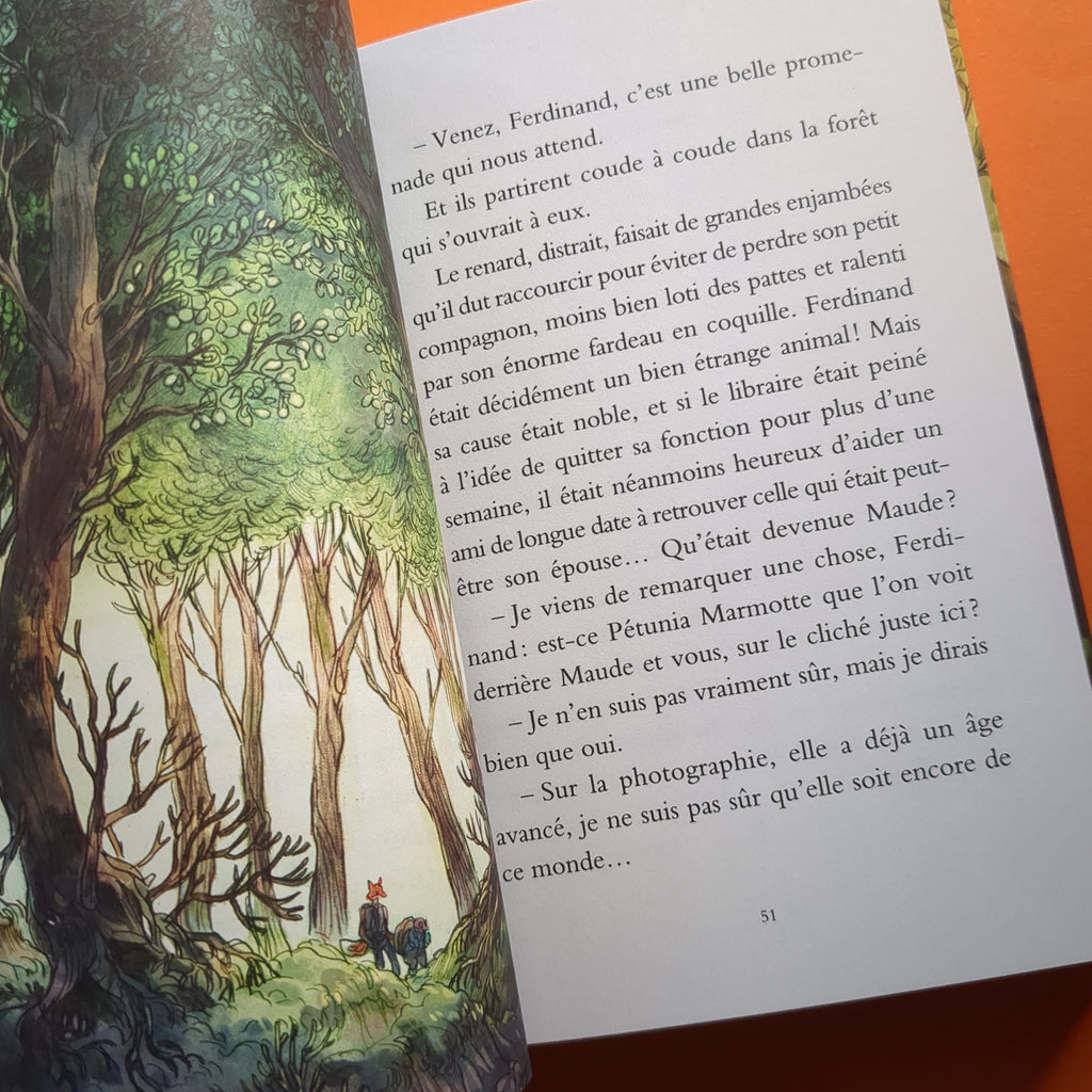  Mémoires de la forêt - Tome 1 - Les Souvenirs de Ferdinand  Taupe: 9782211313155: Brun-Arnaud, Mickaël, Sanoe: Books