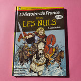 Histoire de France en BD Pour les Nuls. 01. Les Gaulois