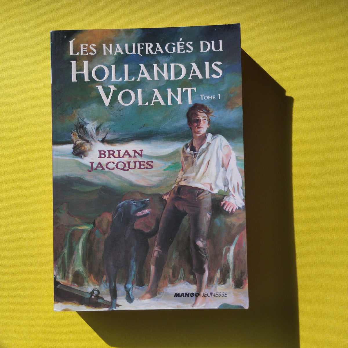 Le Hollandais Volant. 01. Les Naufragés du Hollandais Volant