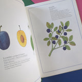 Inventario illustrato dei frutti e degli ortaggi