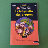 L'énigme des vacances. Du CE2 au CM1. Le labyrinthe des dragons