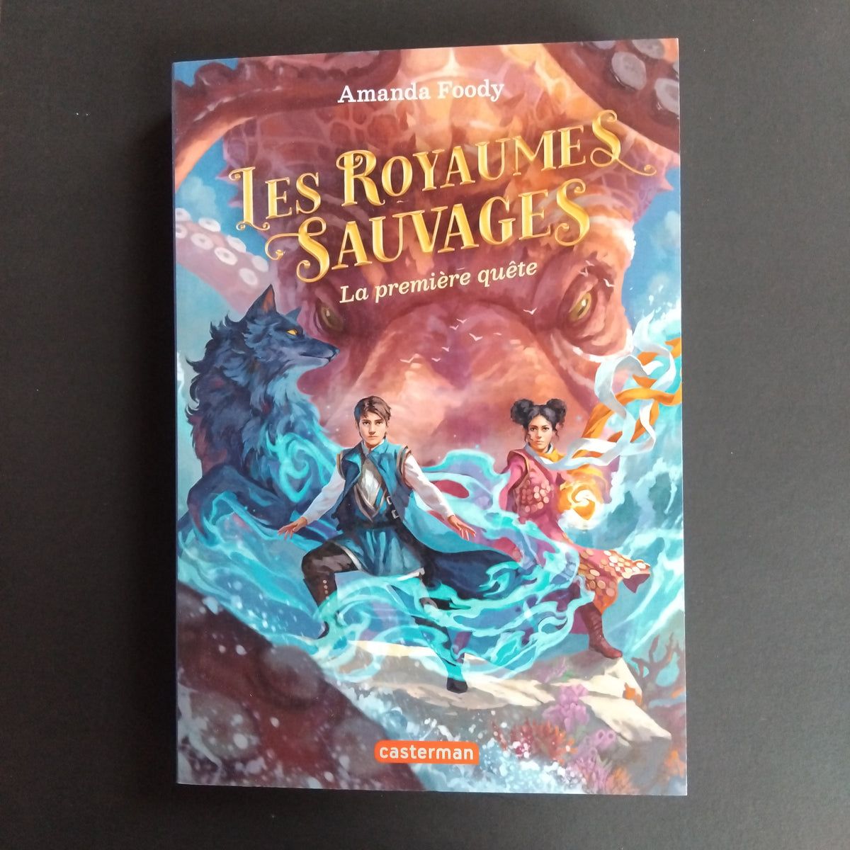 Les royaumes sauvages main image 0