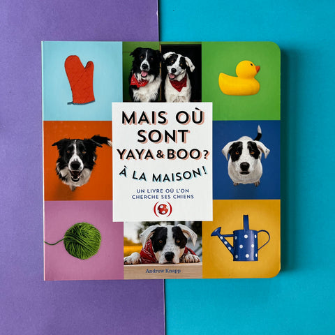 Mais où sont Yaya & Boo ? À la maison ! Un livre où l'on cherche ses chiens