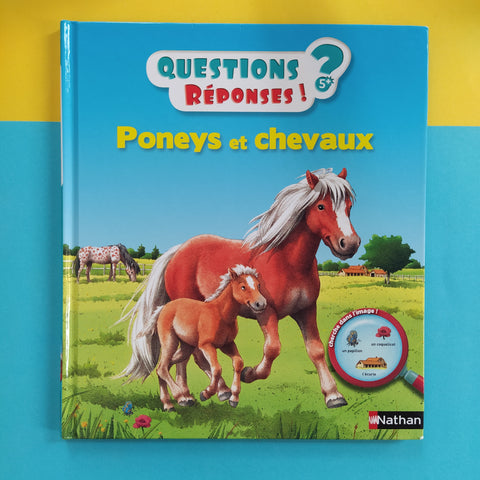 Questions ? Réponses ! 11. Poneys et chevaux