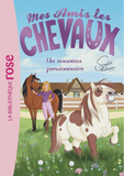 Mes amis les chevaux. 01. Un nouveau pensionnaire