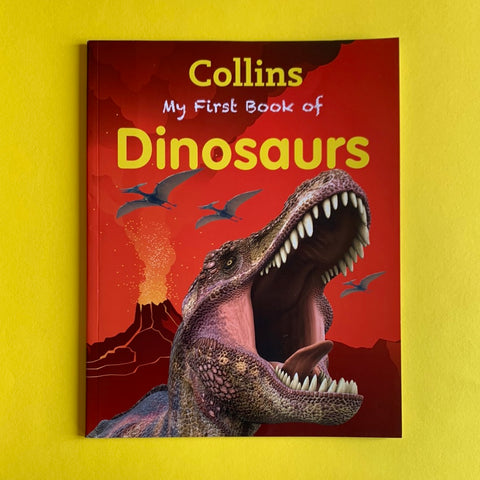 Il mio primo libro sui dinosauri