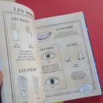 Sacrées sorcières