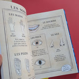 Sacrées sorcières