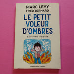 Le Petit Voleur d'ombres. 03. Le terrible incident