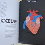 Anatomie
