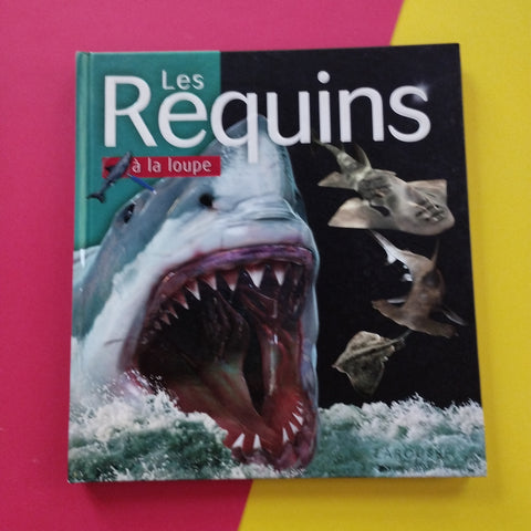 Les requins