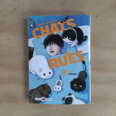 Hachi & Maruru. Chats des rues. 4