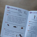Les petits devoirs. CP. Lecture