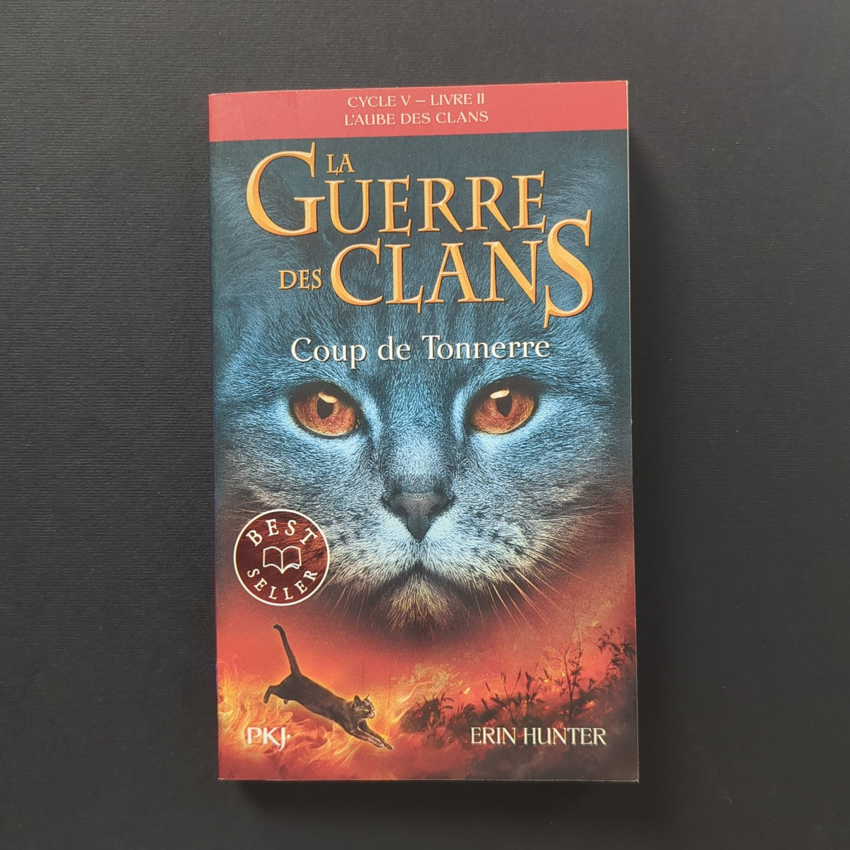 La Guerre Des Clans Cycle 5 02 Coup De Tonnerre Librairie William La Guerre Des Clans Cycle 5 02 Coup De Tonnerre Librairie William