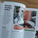 Copain des chiens