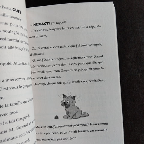 Le journal de Gurty. 14. Vacances à la mer