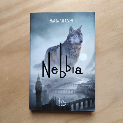 Nebbia