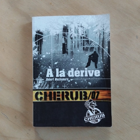 Cherub. 07. A la dérive