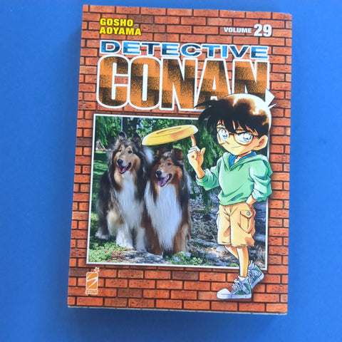 Detective Conan. 29