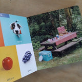 Dov'è Momo? In giro!