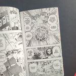 One piece. 109. Toujours de ton côté