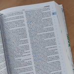Dizionario italiano di base