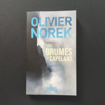 Dans les brumes de Capelans