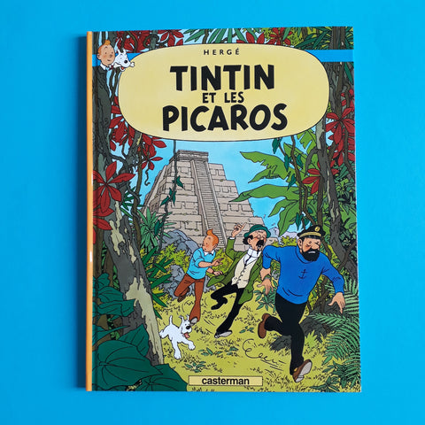 Tintin e i Picaro
