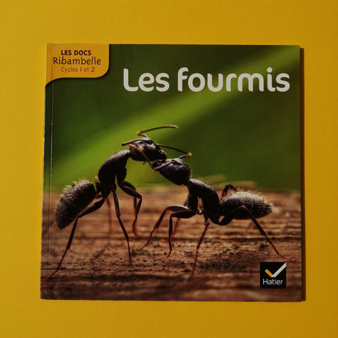 I documenti Ribambelle. Le formiche