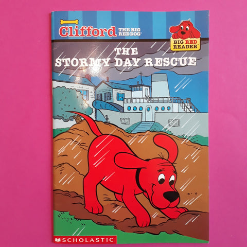 The stormy day rescue