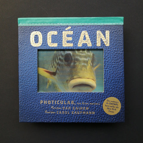 Photicular Ocean, un libro animato