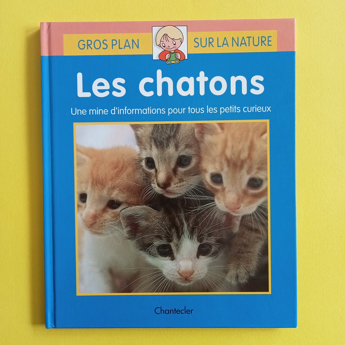 5 ans de ma vie de maman – Les Chatons Curieux